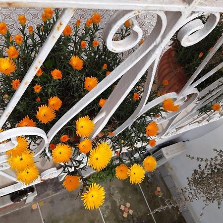 La Casa Di Rosa - Casa Vacanze 메타 외부 사진