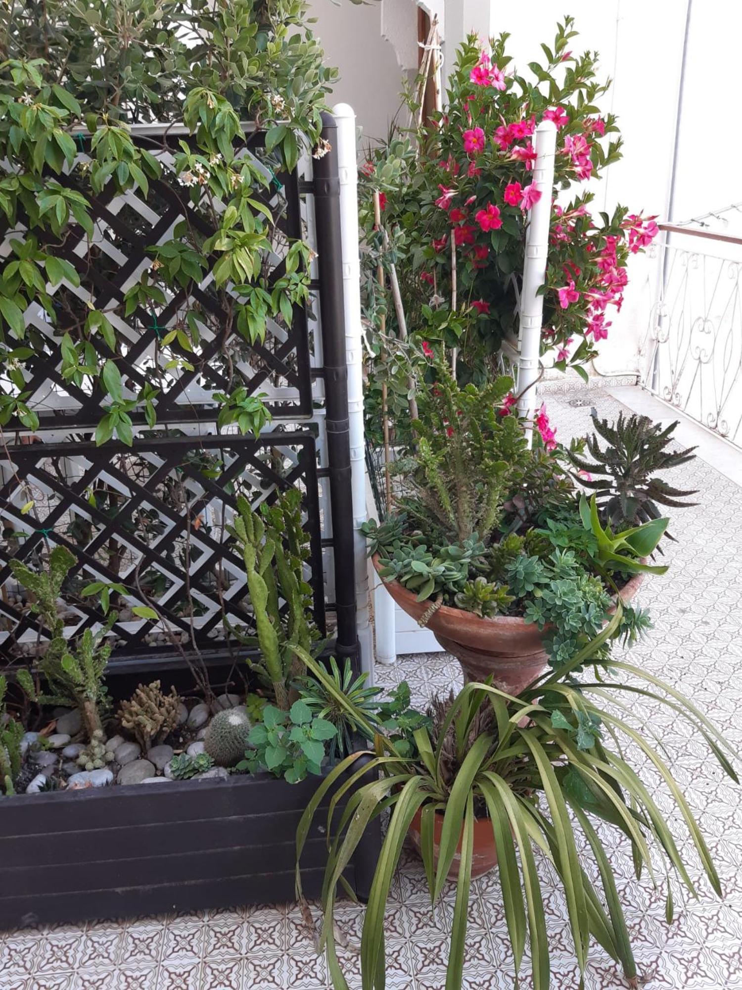 La Casa Di Rosa - Casa Vacanze 메타 외부 사진